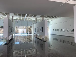 nadir afonso boticas