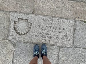 caminho de santiago